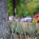 Podere La Miniera Relax & Food
